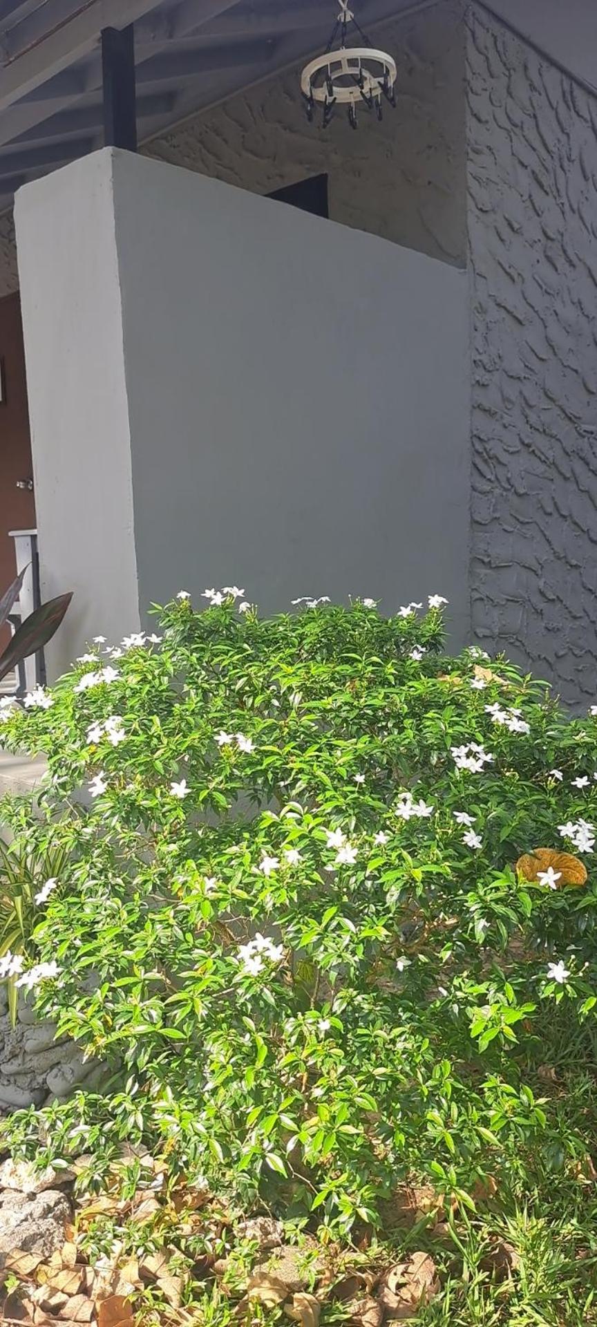 Siam Flora Resort קו לנטה מראה חיצוני תמונה