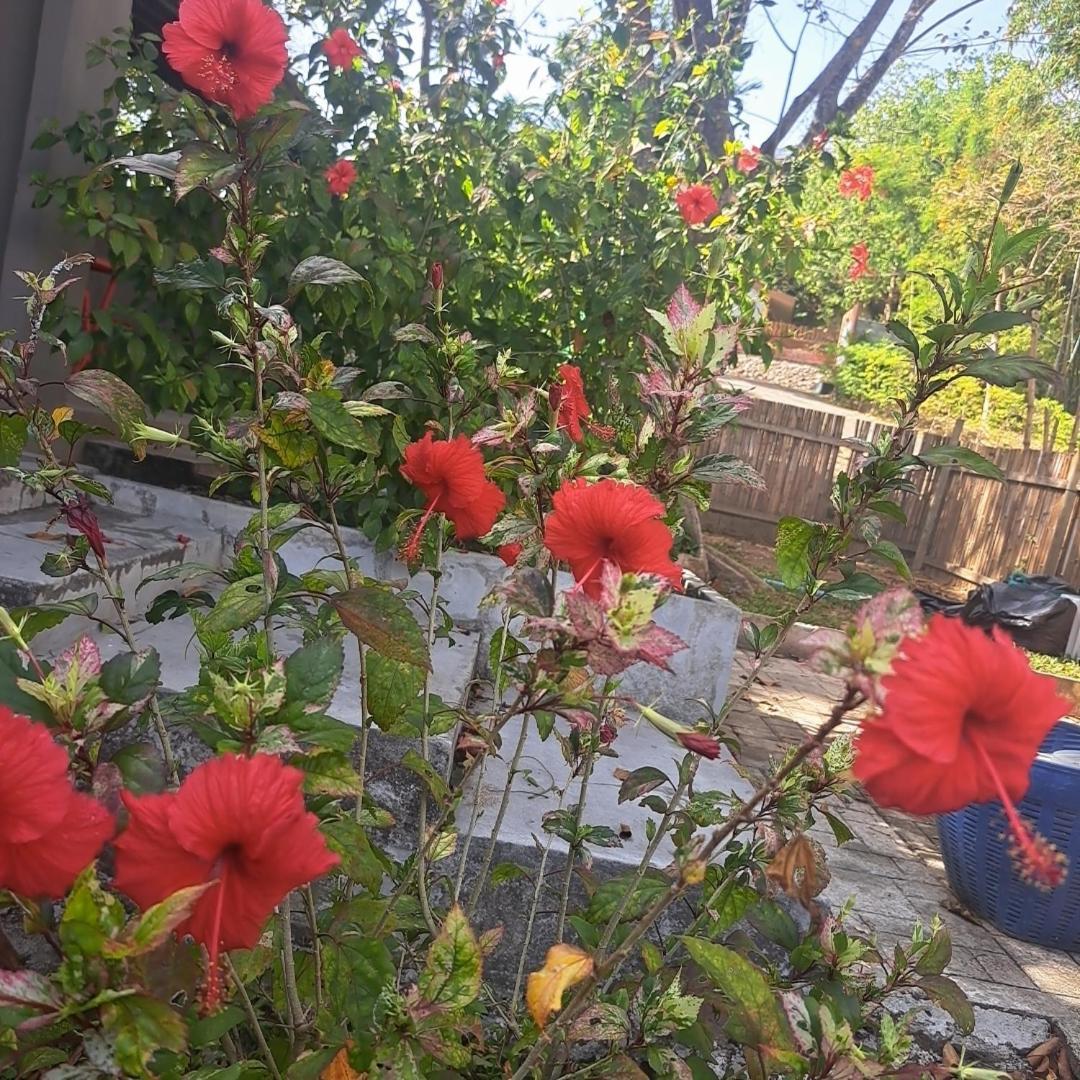Siam Flora Resort קו לנטה חדר תמונה
