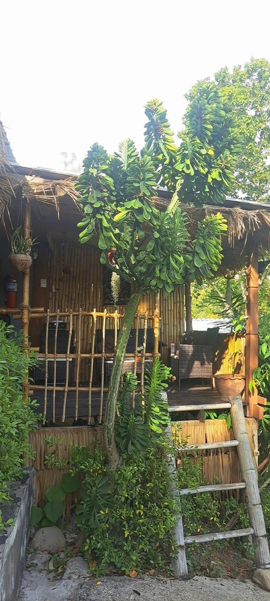 Siam Flora Resort קו לנטה חדר תמונה